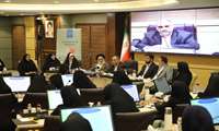 اولین نشست کمیسیون بانوان شاغل وزارت جهادکشاورزی با حضور وزیر جهادکشاورزی و نماینده ولی فقیه در وزارت جهادکشاورزی برگزار شد.
